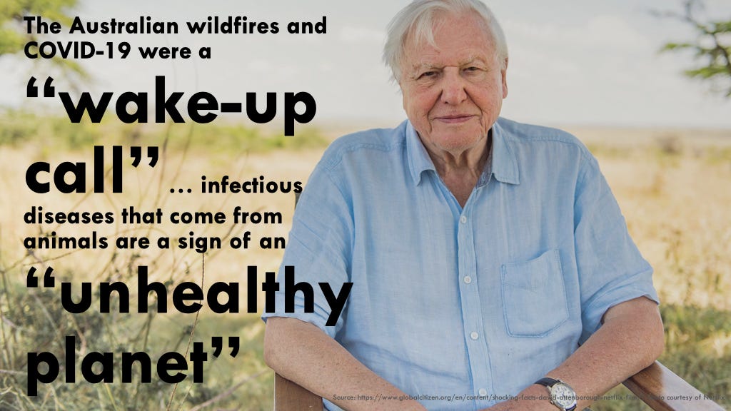 Photograph of David Attenborough with the following text overlay: The Australian wildfires and COVID-19 were a “wake-up call” … infectious diseases that come from animals are a sign of an “unhealthy planet”.