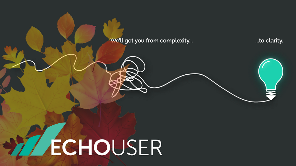 An image of fall leaves in the background behind the EchoUser logo with the caption: we’ll get you from complexity to clarity