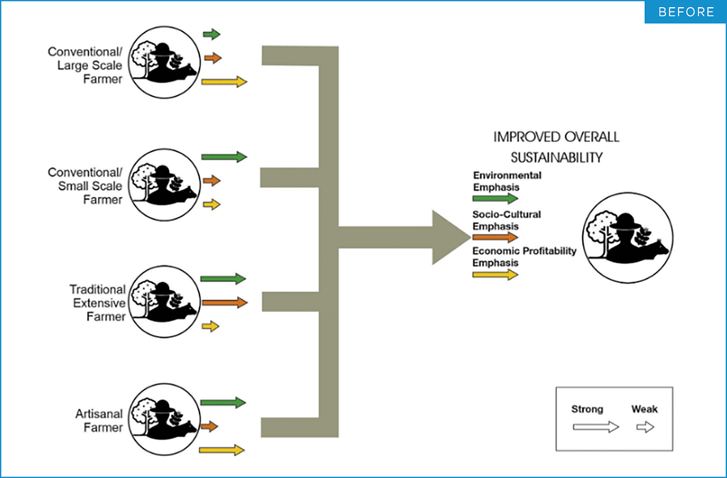 A flowchart explaining the content of “Different pathways for different types of farmers”, before design improvements