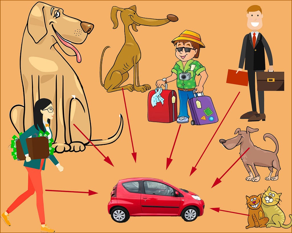 A collection of people and animals to be assembled for evacuation in a small car.