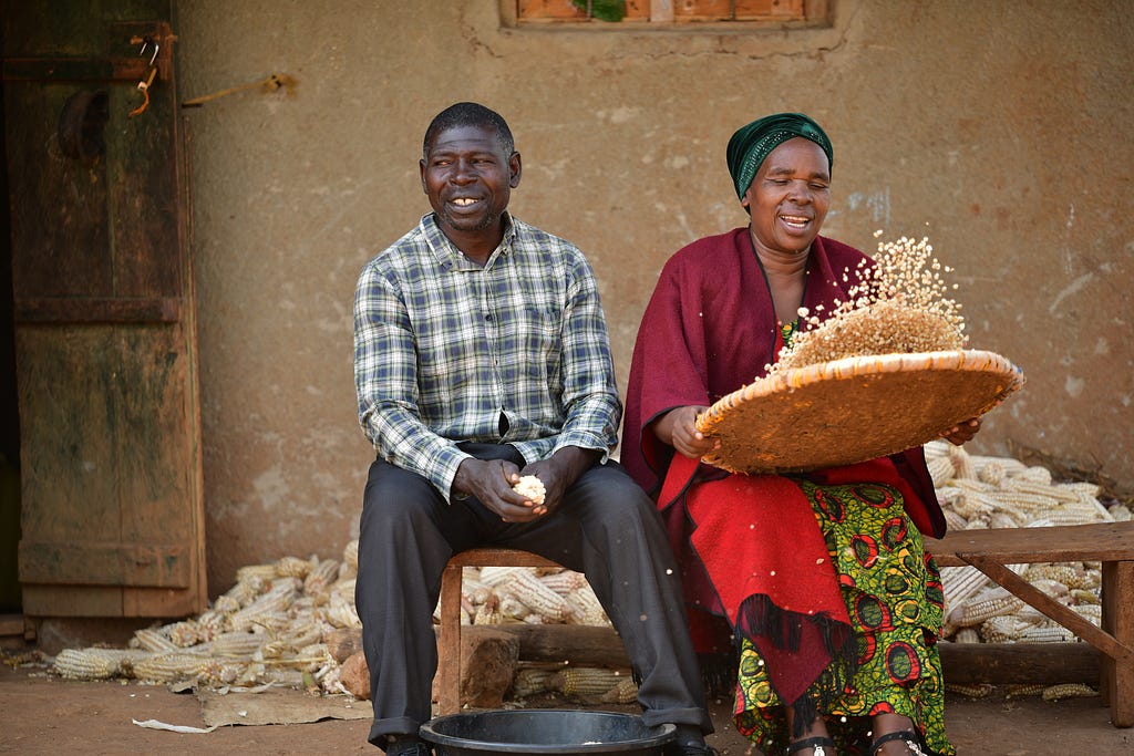 A man and woman sit on a bench with a pile of corncobs behind them. The man is holding a corncob and the woman is sifting corn kernels by tossing them in a wicker basket.