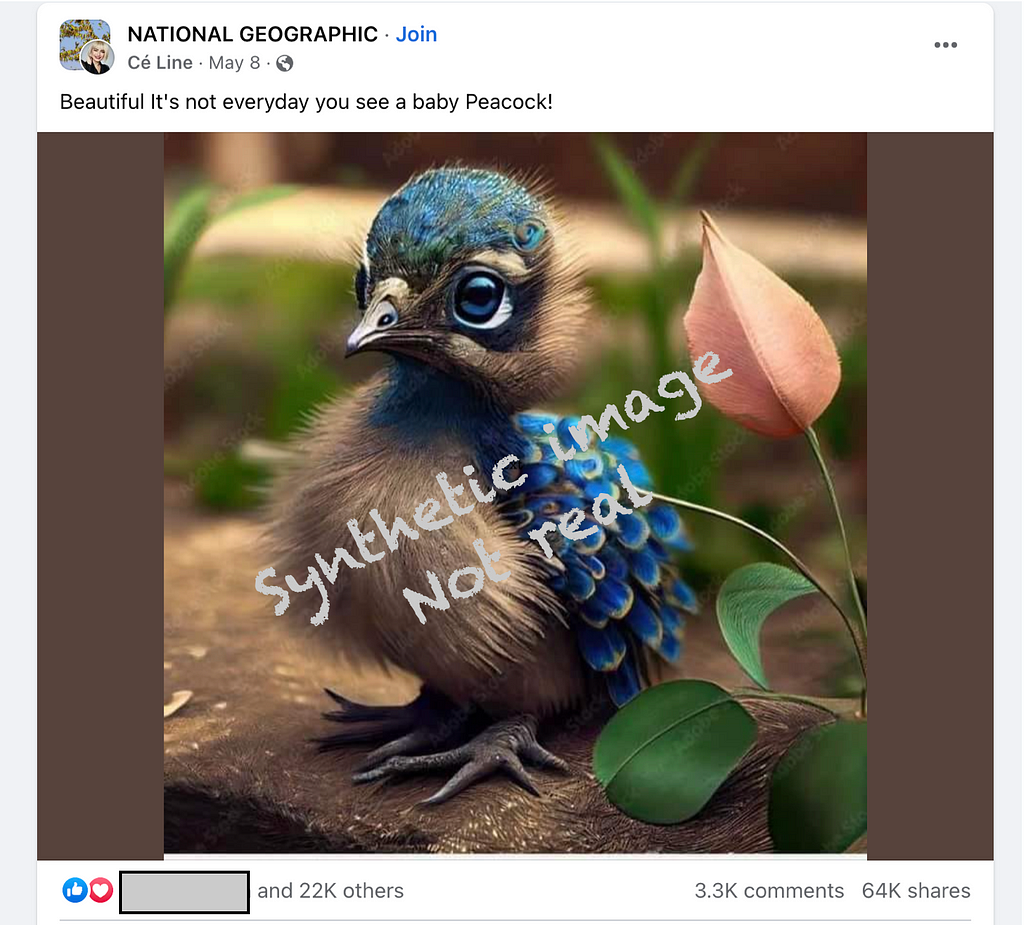 The photo in the screenshot is of an adorable baby bird, with mostly brown features but some vivid blue ones that look like tiny versions of grown peacock tail feathers.