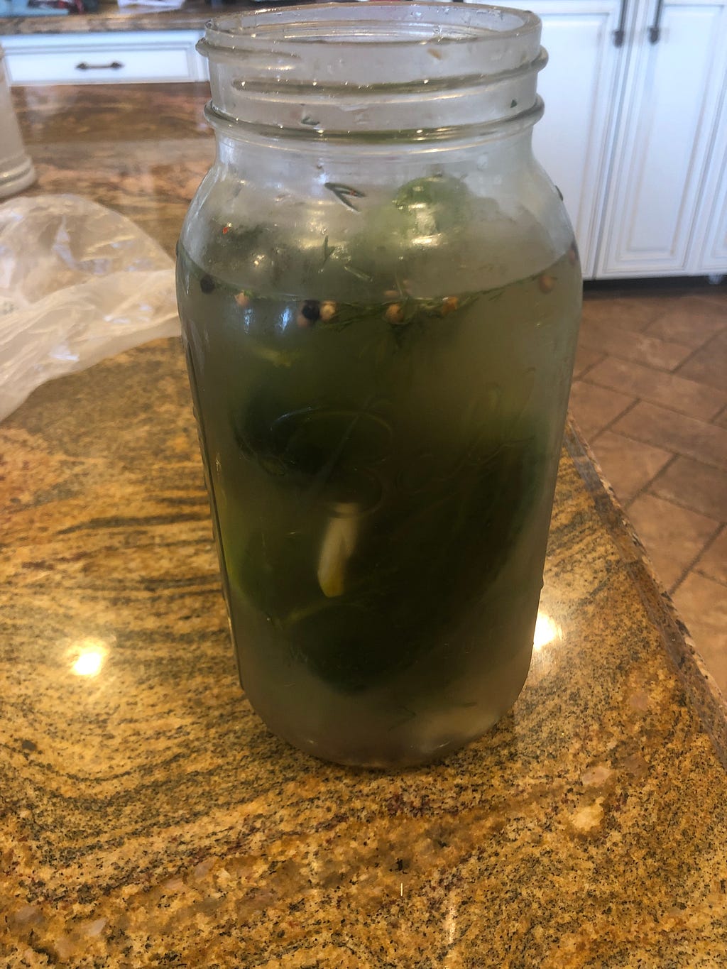 Pickels on day 4