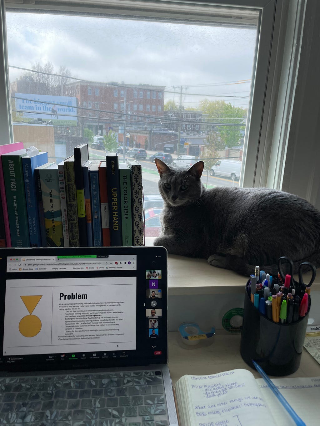 Laptop open showing work with books on a shelf behind and cat looking on