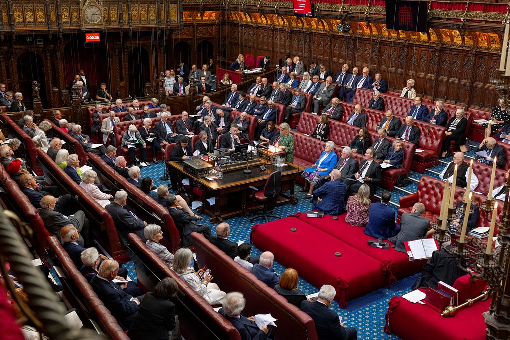 A photograph of a debate at the House of Lords in the Parliament of the UK during July 2023.