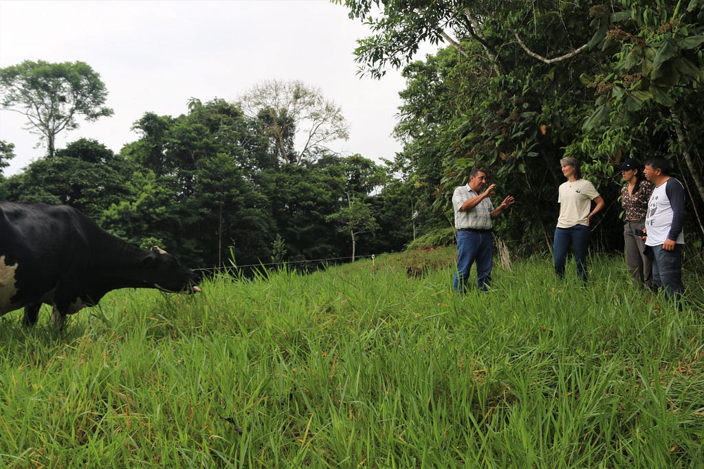 WWF staff meet with Henry Párraga, a local leader who is promoting a sustainable livestock association in the village of Taracoa in northern Ecuador. © Óscar Luna / WWF-Ecuador