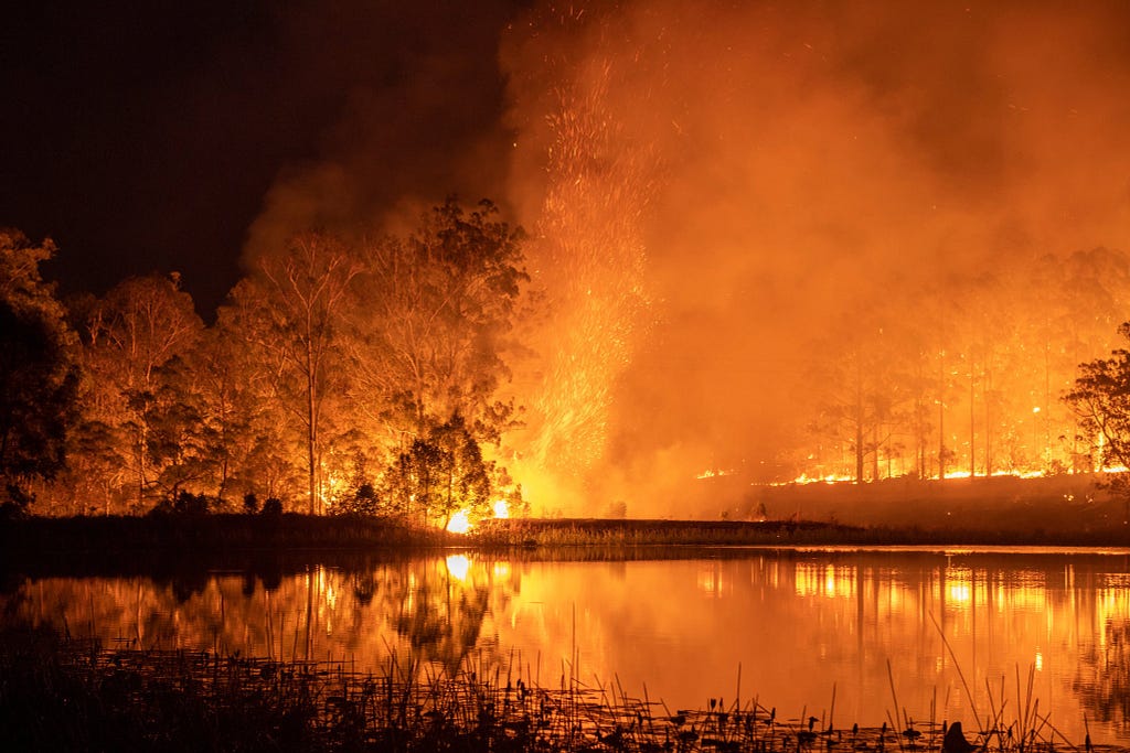 An out-of-control fire in Hillville New South Wales on 12 November 2019 / Matthew Abbott New York Times