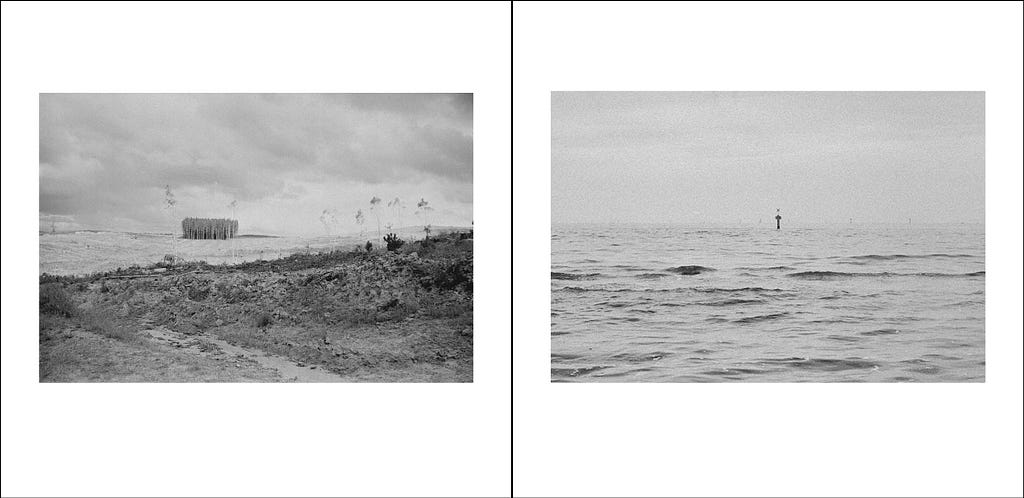 Two black-and-white photographs sit on the pages of an illustration of an open book. The photograph on the left page is of the timber plantion. The photograph on the right page is of a buoy floating in the sea. The horizon in the left photograph appears to continue into the photograph on the right.