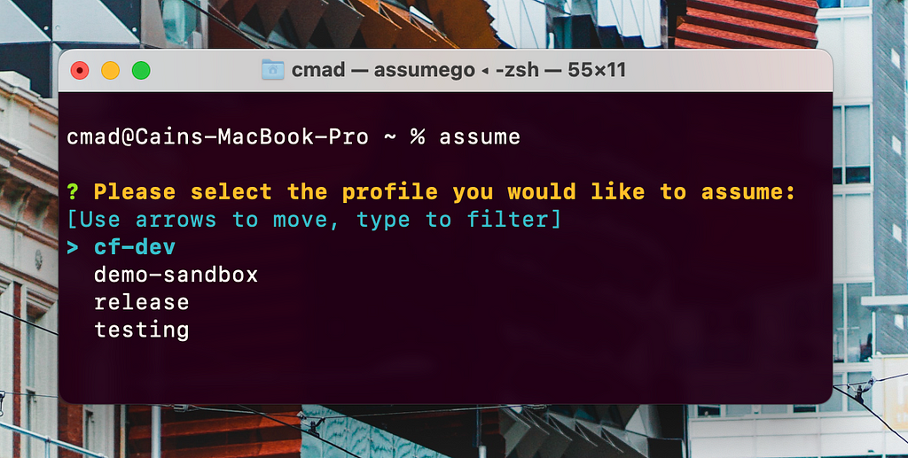 A screenshot of a terminal. Running the command “assume” lists all my available AWS roles.