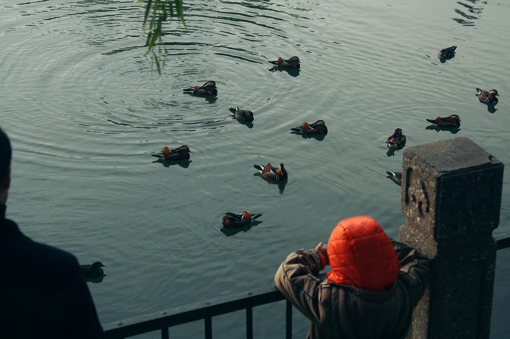 Uma criança com casaco preto e capuz vermelho está apoiada em uma grande em primeiro plano. Ela olha para a água, onde tem vários patos. É possível ver a sombra de um adulto no canto esquerdo.