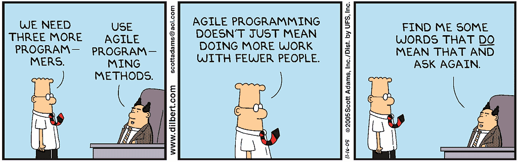 Agile programming