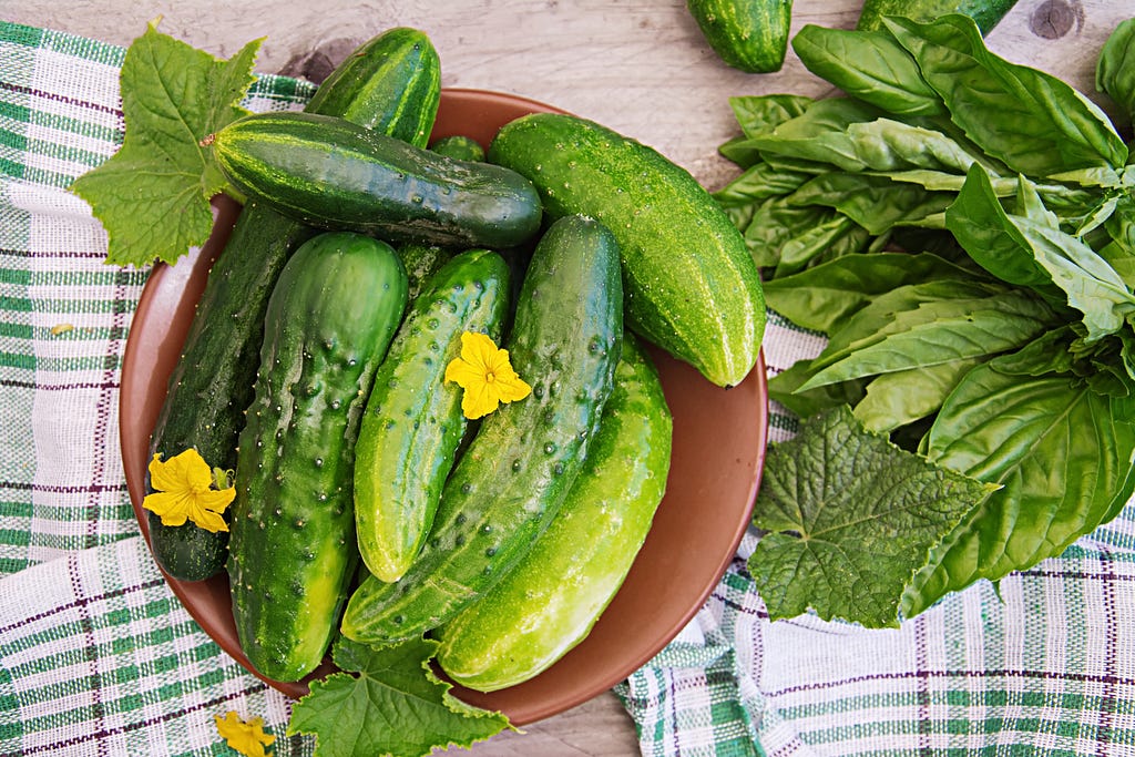 Title: Why Cucumbers Turn Yellow — Problems and Solutions Image by timolina on FreepikIn the middle of summer, many gardeners face a problem. The cucumber, which is supposed to be green and vigorous, turns yellow and looks very dull. Let’s try to find out why cucumbers turn yellow — problems and solutions. Fresh cucumbers planted from the garden are ideal summer vegetables that are very nice to cool down in the heat. In addition, this crop quickly enters the harvest period; some gardeners harves