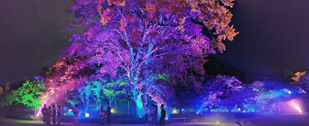 Trees illuminated by colorful lighting; a few people in yukatas walk by.