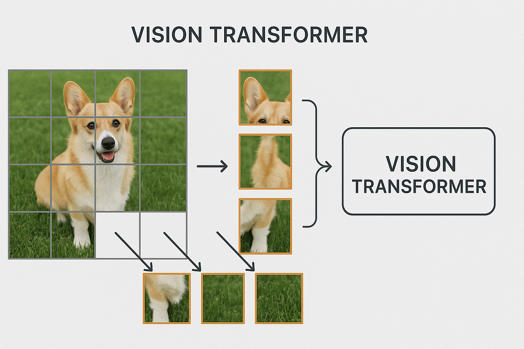 How AI ‘Sees’: Unpacking Image Processing in Multimodal LLMs