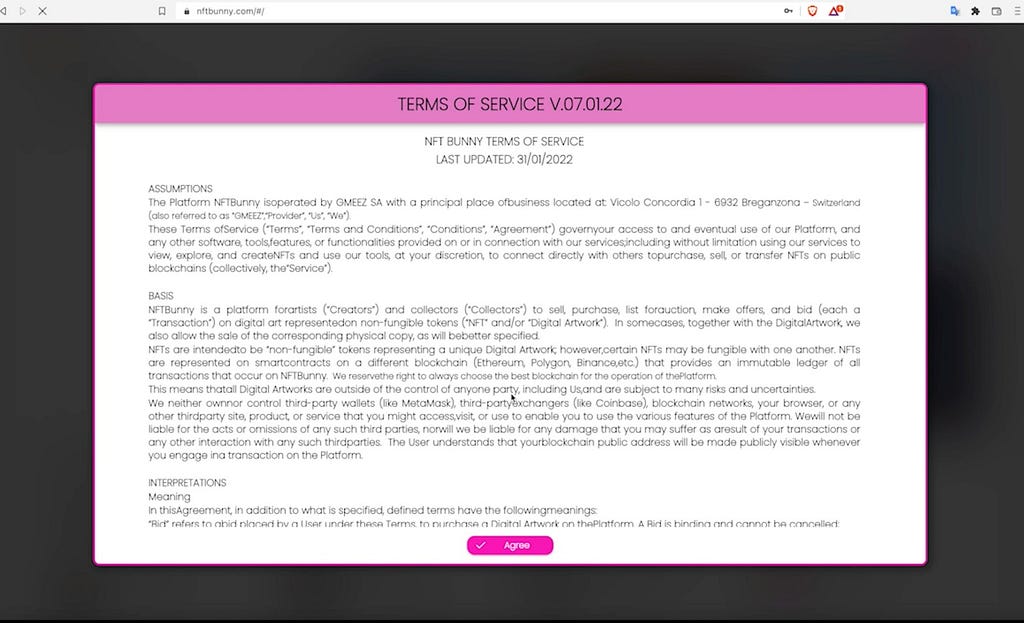 Terms of service on NFT Bunny
