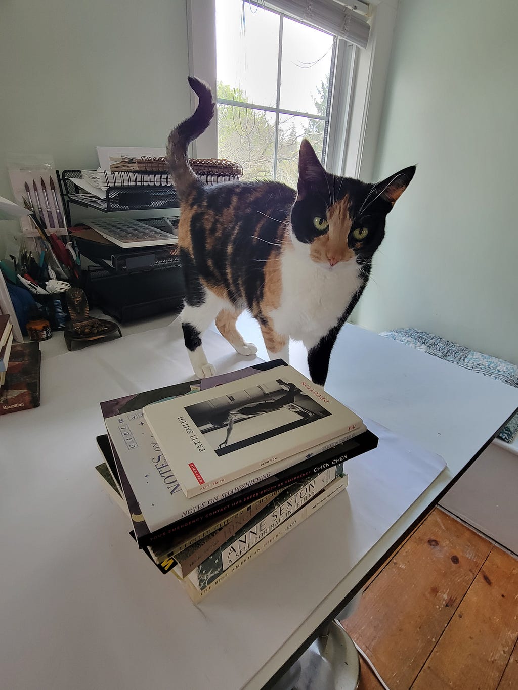 A tuxedo tortoise cat is about to scent-mark a stack of poetry and craft books atop a desk. Patti Smith’s ‘Devotions’ book cover is visible on the top of the stack.