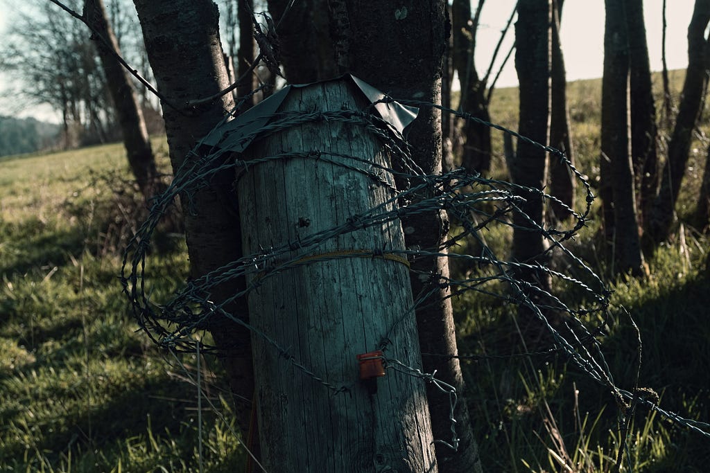 A fence post with barbed wire photographed in hypothermia light.