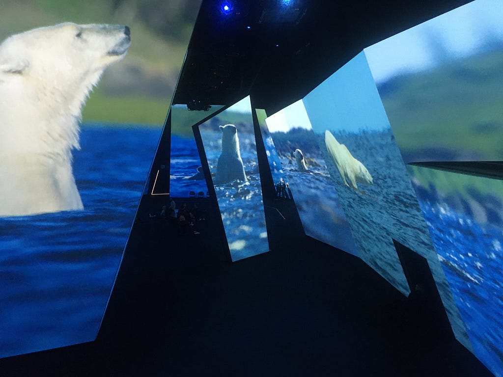In a large, dark room a series of enormous screens show scenes from different perspectives of a polar bear hunting in the ocean
