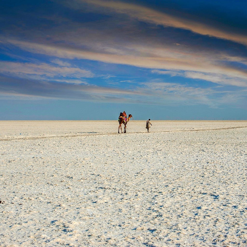 Image of a man with a camel on the white sands of the Rann of Kutch.