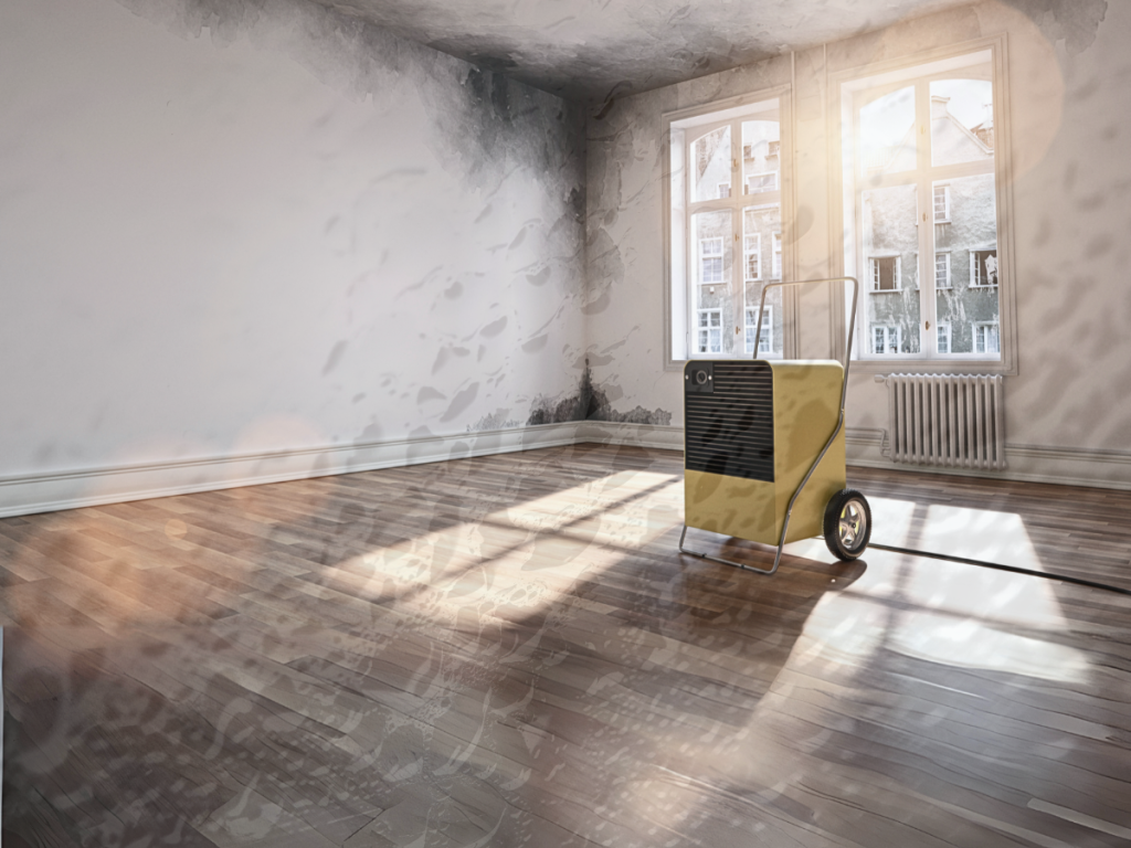 Portable dehumidifier in a room with water-damaged walls and wood flooring, indicating professional mold remediation and water damage restoration services in progress.