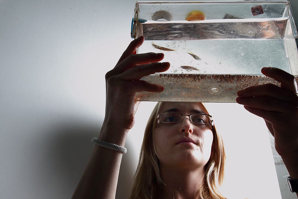 Here we see the woman’s eyes, and the fish are more distinct — a more dramatic image (Judah S. Harris)