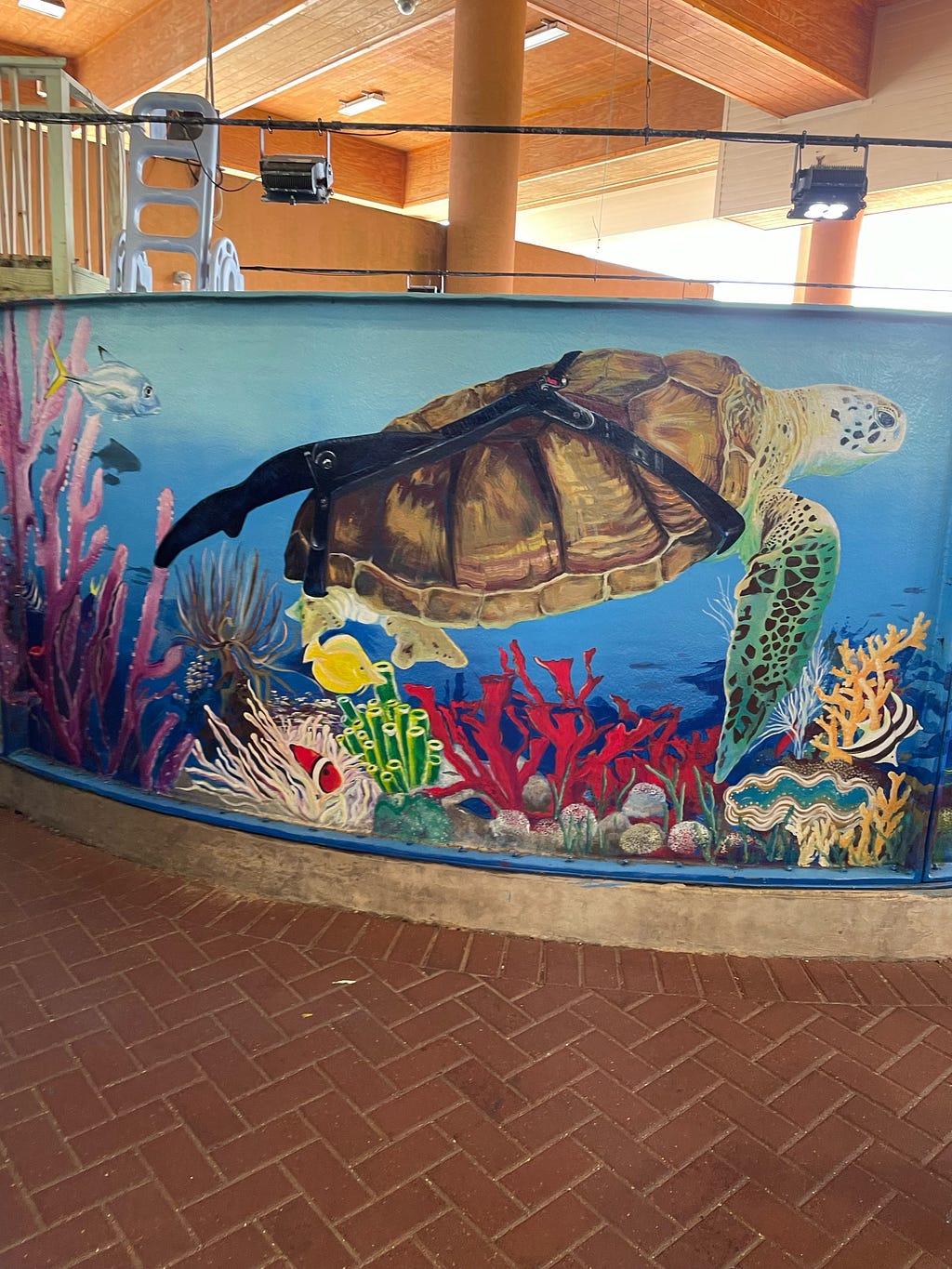 A mural of a sea turtle wearing a prosthetic fin on the side of a turtle tank.