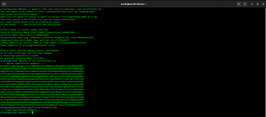 Terminal screenshot with the command to verify the details of your CSR