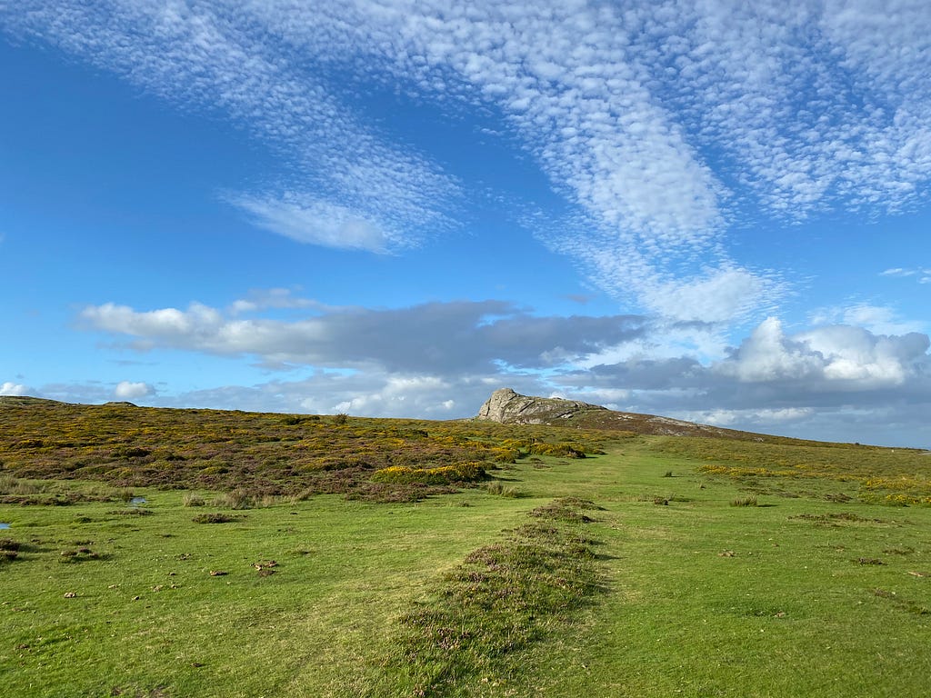 Peaceful and calm landscape at the Dartmoor National Park, United Kingdom