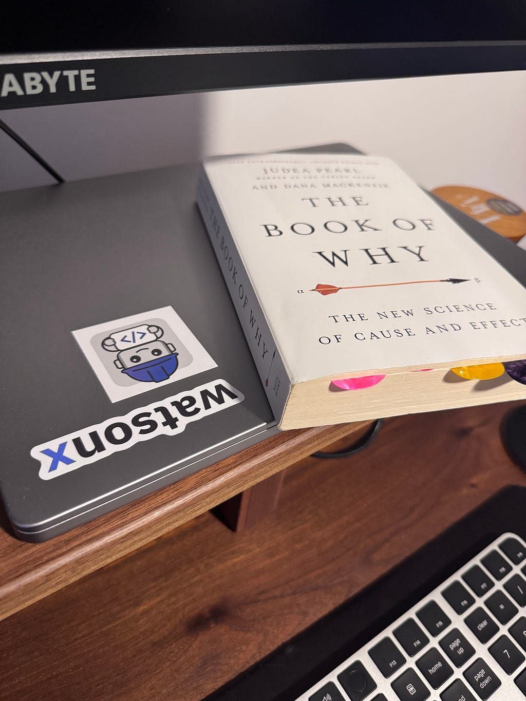 I picture of a book called “The Book of Why”