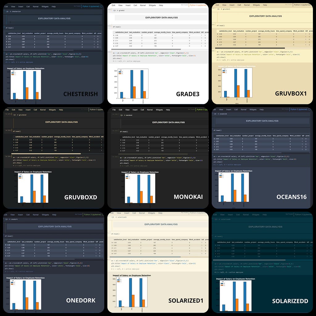 All available Jupyter Notebook themes. Photo: Viha Sharma