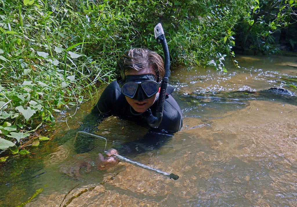 Man with goggles and snorkel tube lying in stream holding small net looks a camera.