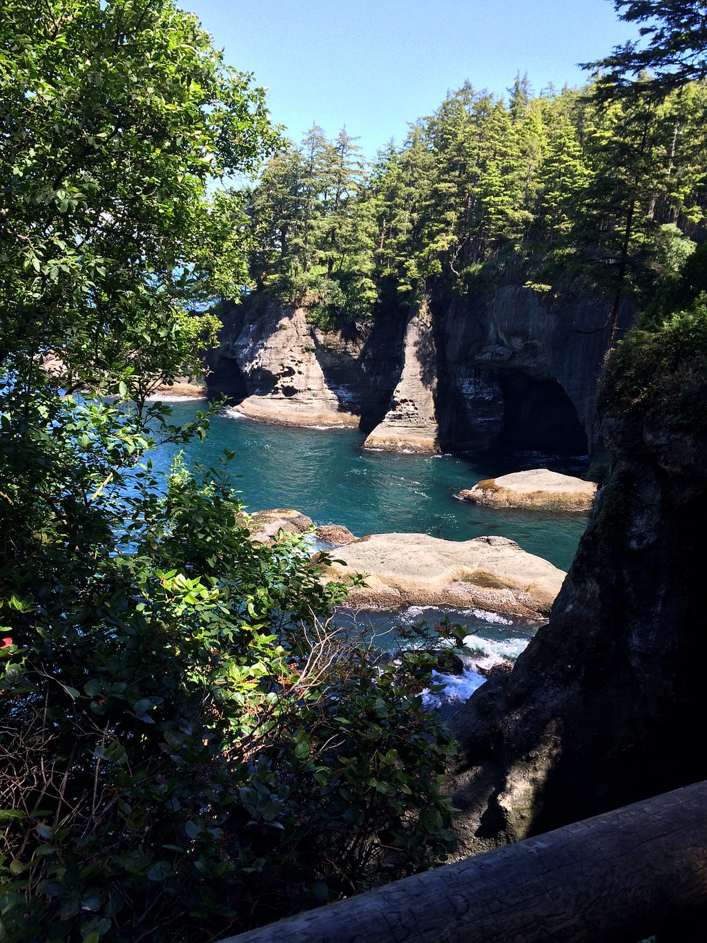 A running river surrounded by lush tress in Cape Flattery in Washington