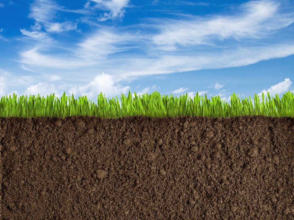 A photo of blue sky above and deep soil below, with growing grass in between.