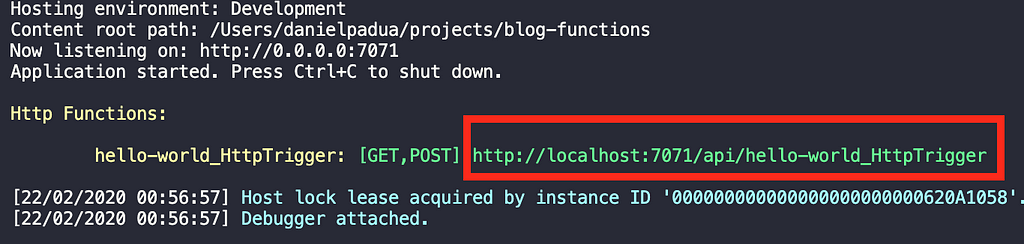 Function's execution output with its URL being highlighted in terminal