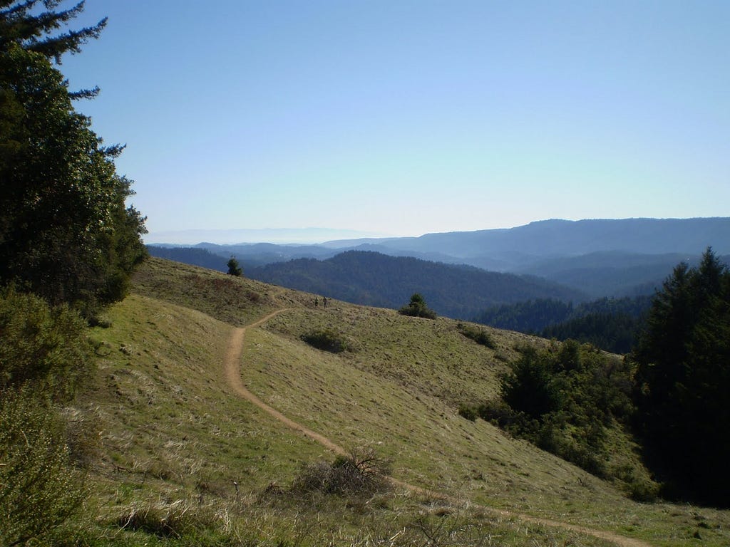 Mountains with a few trees showing a pathway across the slope of the incline.