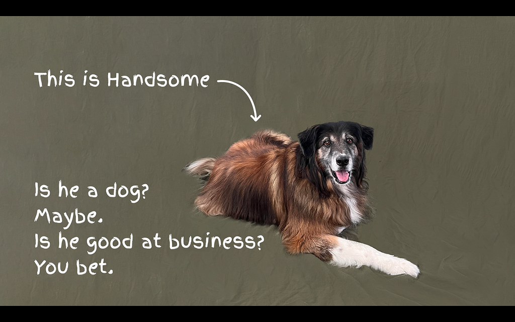 Dog lying down. Text: This is handsome. Is he a dog? Maybe. Is he good at business? You bet.