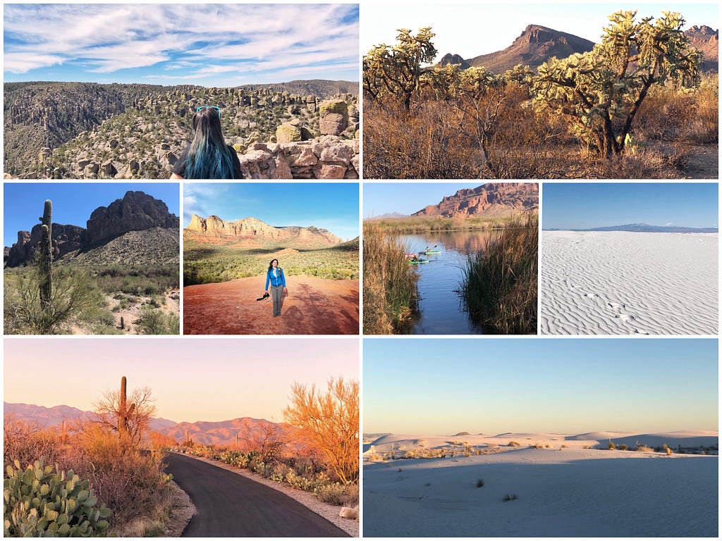 Collage from a road trip in the American southwest — desert scenes, cacti, mountains, and a river.