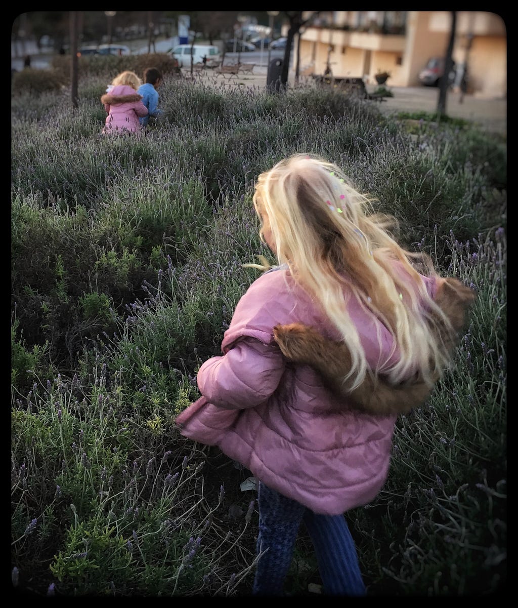 A young girl chases another girl who looks like her and is dressed the same, through some lavender.