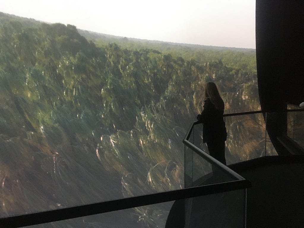 A lone figure stands at a waist-high guardrail looking at a large curving screen that fills the image and shows a jungle scene from an aerial perspective