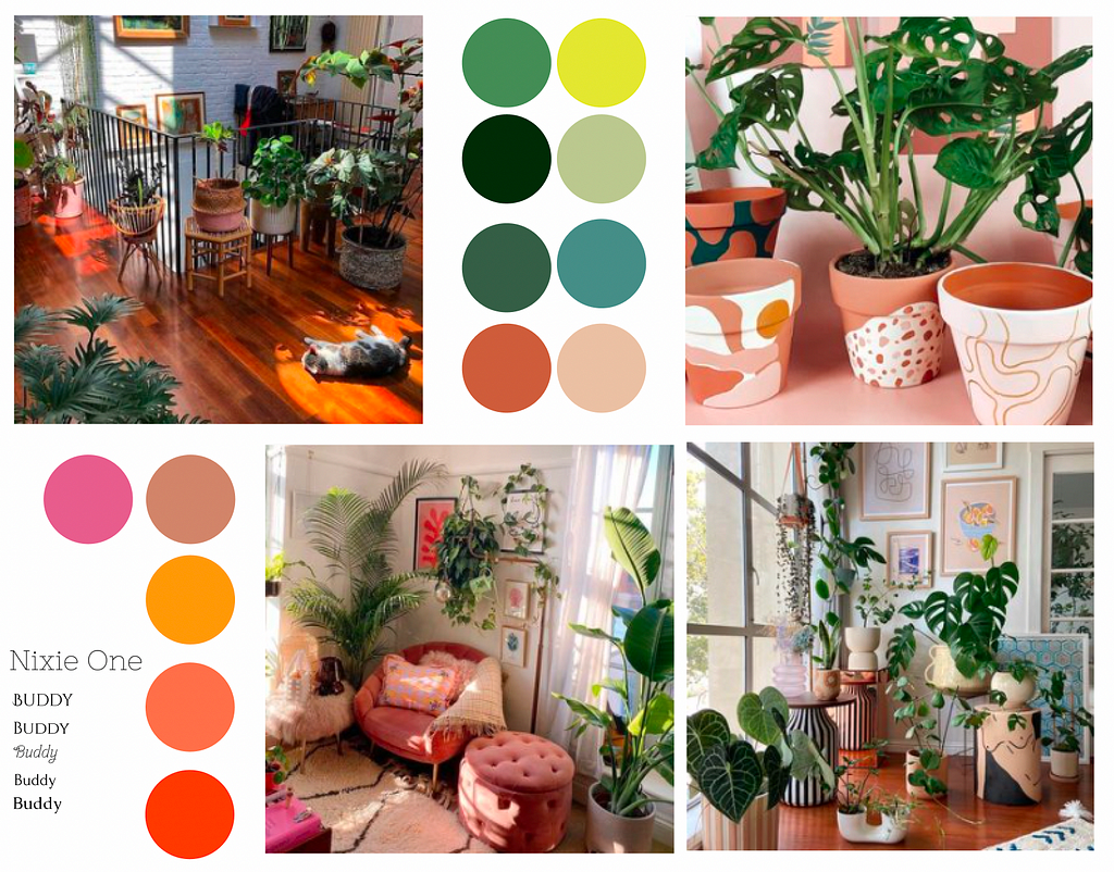 A mood board using images of indoor plants in living room/home settings. Colours taken from these shown in circles. Colours are hues of pink, orange and greens. There are also some experiments with font ‘nixie one’ in different sizes.