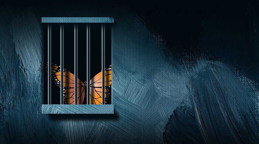 A butterfly trapped behind bars waiting for the day it will fly