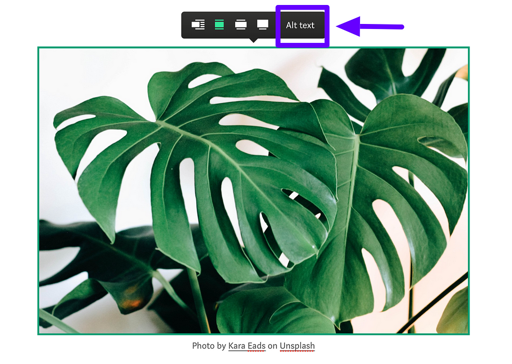 An arrow pointing to the Alt Text toolbar on top of a photo of a Monstera plant