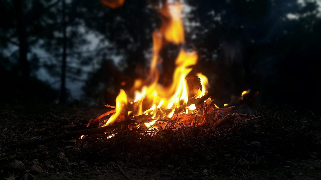 Pequena fogueira em uma floresta.