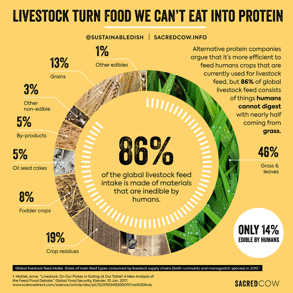 Livestock food graphic