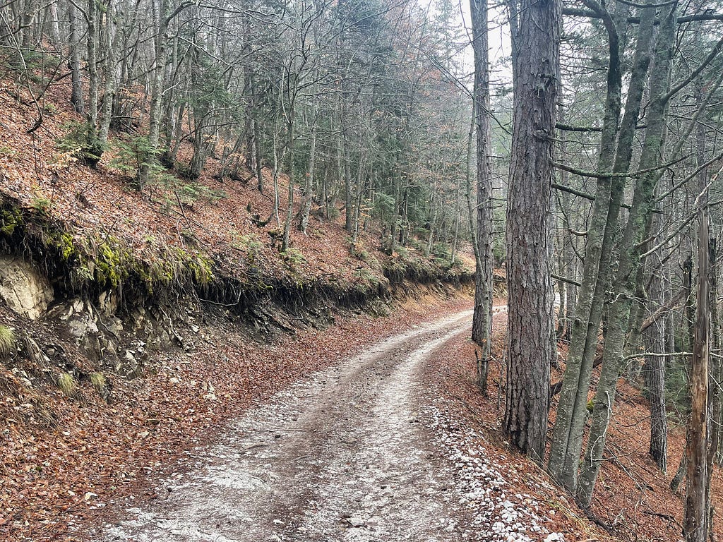 The mountain road to the chalet.