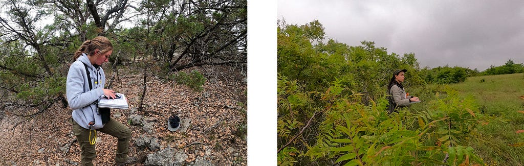 two images of field staff in diverse ecosystems side by side