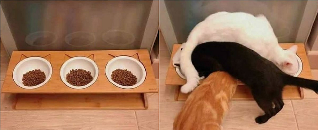 A very aesthetic wooden holder for 3 cat bowls in a row. But when the cats eat from it they are not lined up in a row; rather, they pile on top of one another in a weird and awkward way