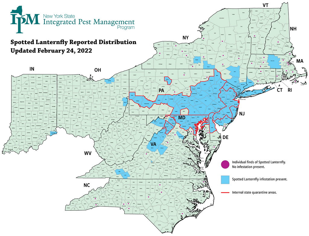 a map showing many eastern, mid-Atlantic states. A large patch of blue indicates the presence of spotted lanternfly throughout eastern Pennsylvania, Maryland, Delaware, and New Jersey and reaching into Pennsylvania, New York, Connecticut, Virginia, Indiana and Ohio