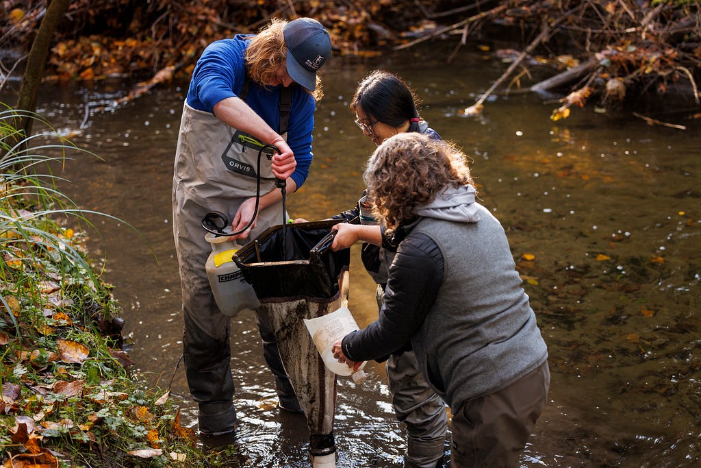 Environmental scientists collect samples in a stream.