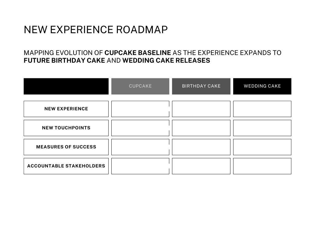 Contains the format for the Experience Roadmap: 1. What does a new experience look like 2. Touchpoints impacted by new experience 3. Measures of success for new experience 4. Which roles in the pilot team are accountable?